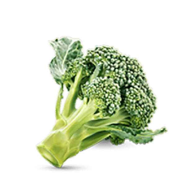 h3-product11 h3-product11