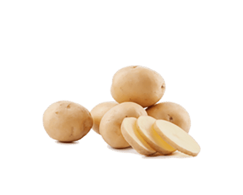 h3-product8 h3-product8